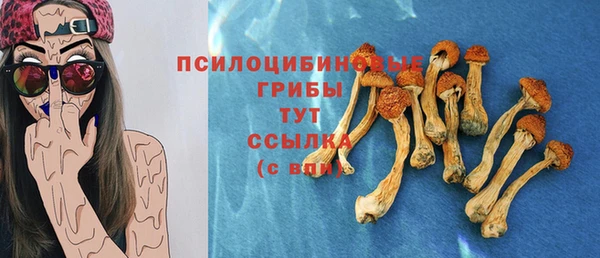 первитин Абаза