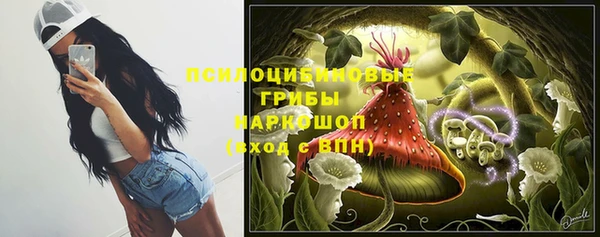 гашик Абинск