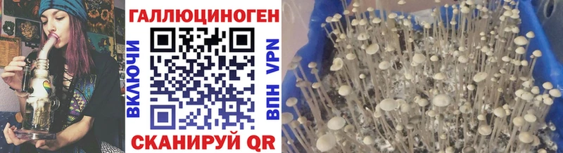 Галлюциногенные грибы ЛСД Магнитогорск
